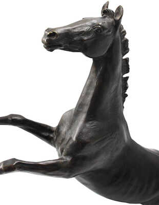 Шубнякова Екатерина Владимировна. Скульптура «Свободный»